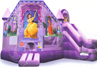 Inflatable_Princess_Palace_MC_PS.png (193381 bytes)
